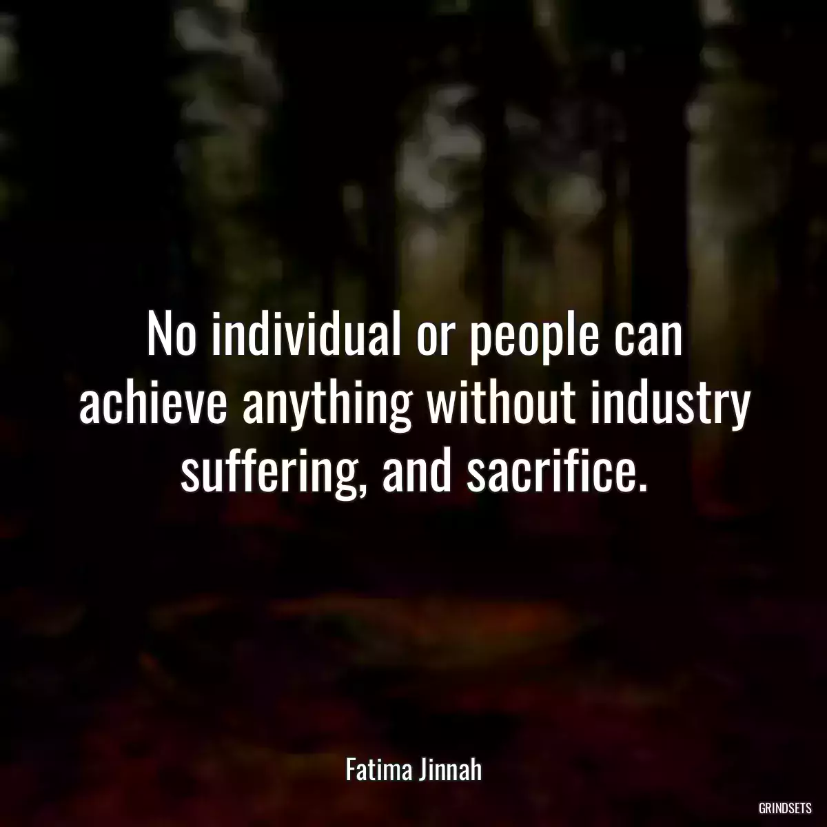 No individual or people can achieve anything without industry suffering, and sacrifice.