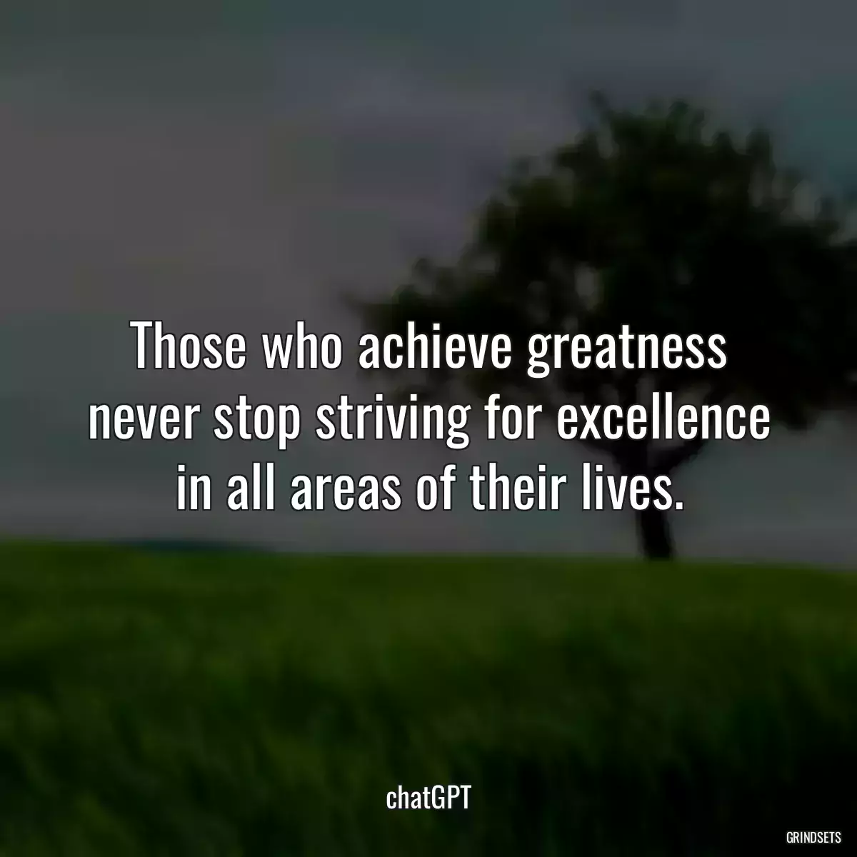 Those who achieve greatness never stop striving for excellence in all areas of their lives.