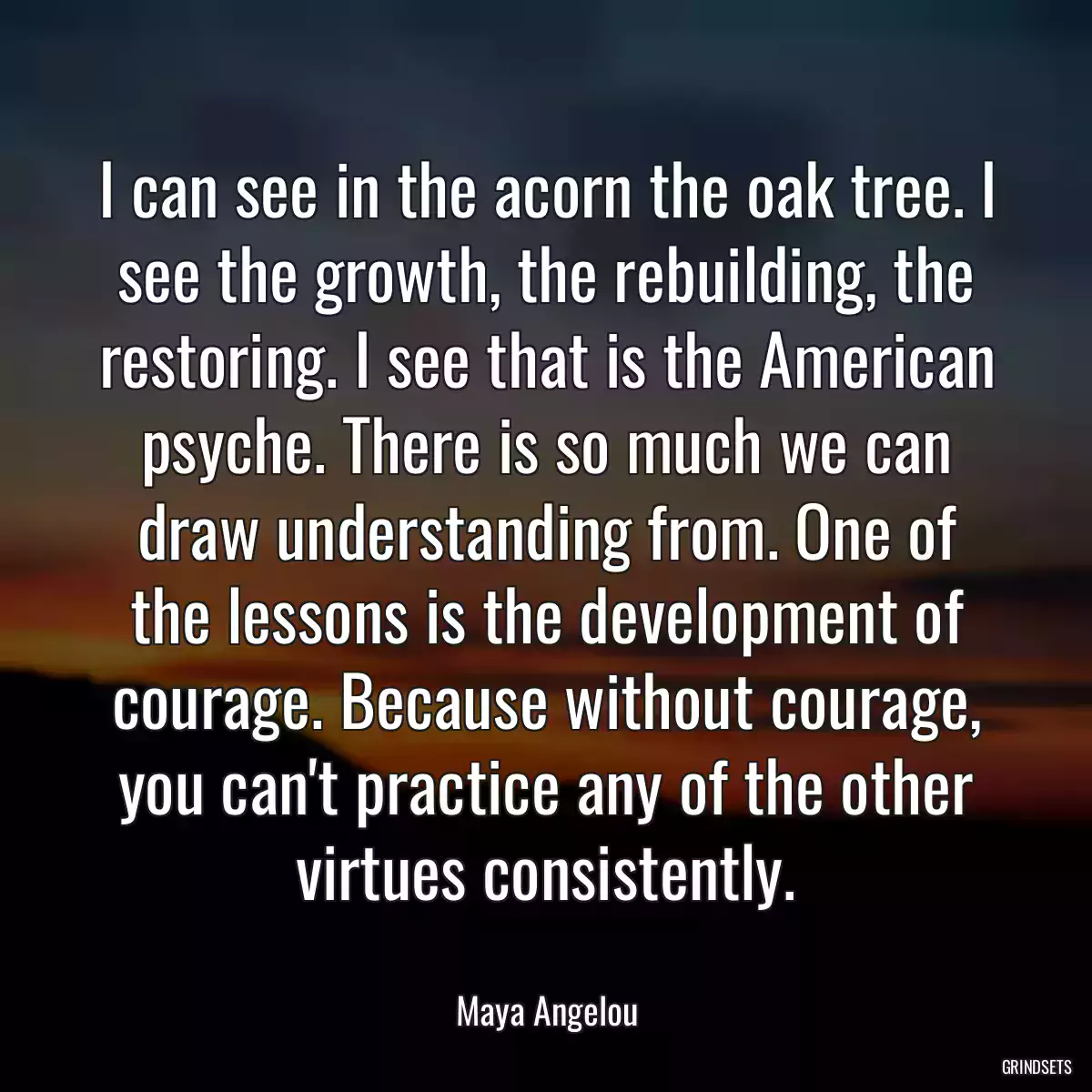 I can see in the acorn the oak tree. I see the growth, the rebuilding, the restoring. I see that is the American psyche. There is so much we can draw understanding from. One of the lessons is the development of courage. Because without courage, you can\'t practice any of the other virtues consistently.