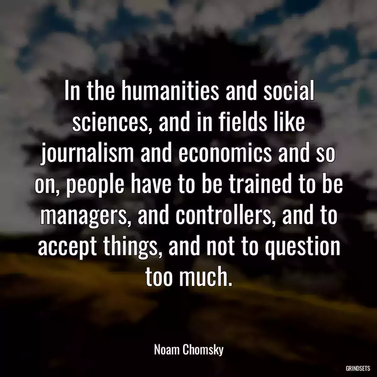 In the humanities and social sciences, and in fields like journalism and economics and so on, people have to be trained to be managers, and controllers, and to accept things, and not to question too much.