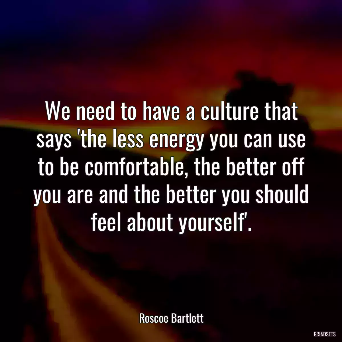 We need to have a culture that says \'the less energy you can use to be comfortable, the better off you are and the better you should feel about yourself\'.