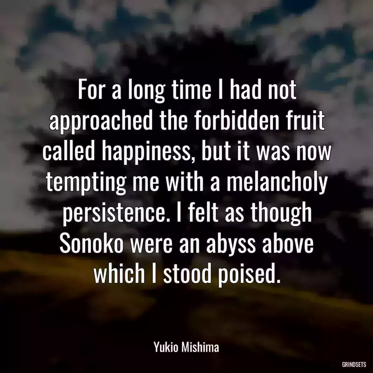 For a long time I had not approached the forbidden fruit called happiness, but it was now tempting me with a melancholy persistence. I felt as though Sonoko were an abyss above which I stood poised.