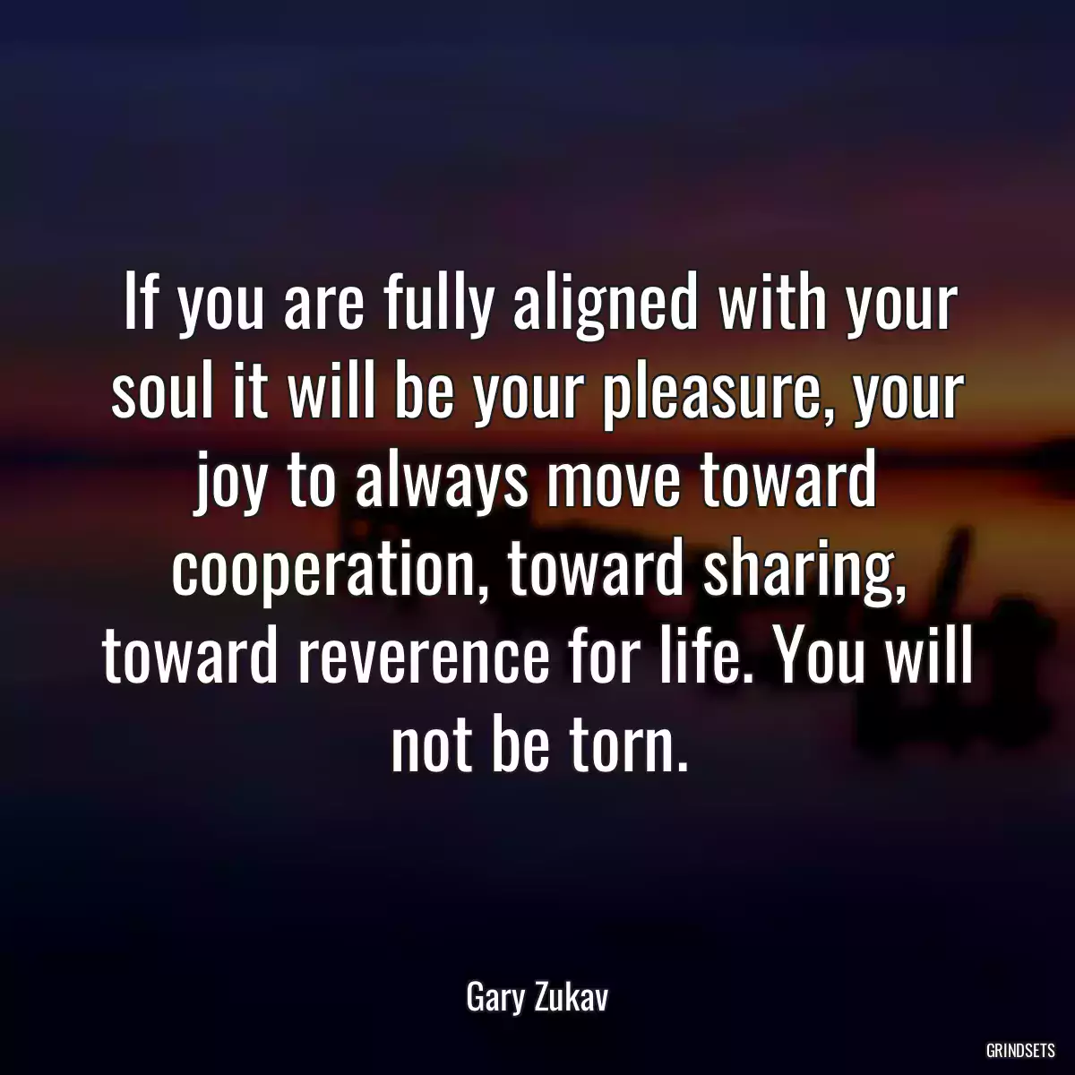 If you are fully aligned with your soul it will be your pleasure, your joy to always move toward cooperation, toward sharing, toward reverence for life. You will not be torn.