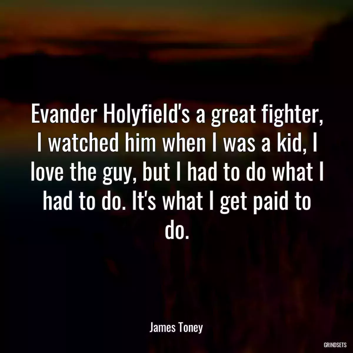 Evander Holyfield\'s a great fighter, I watched him when I was a kid, I love the guy, but I had to do what I had to do. It\'s what I get paid to do.