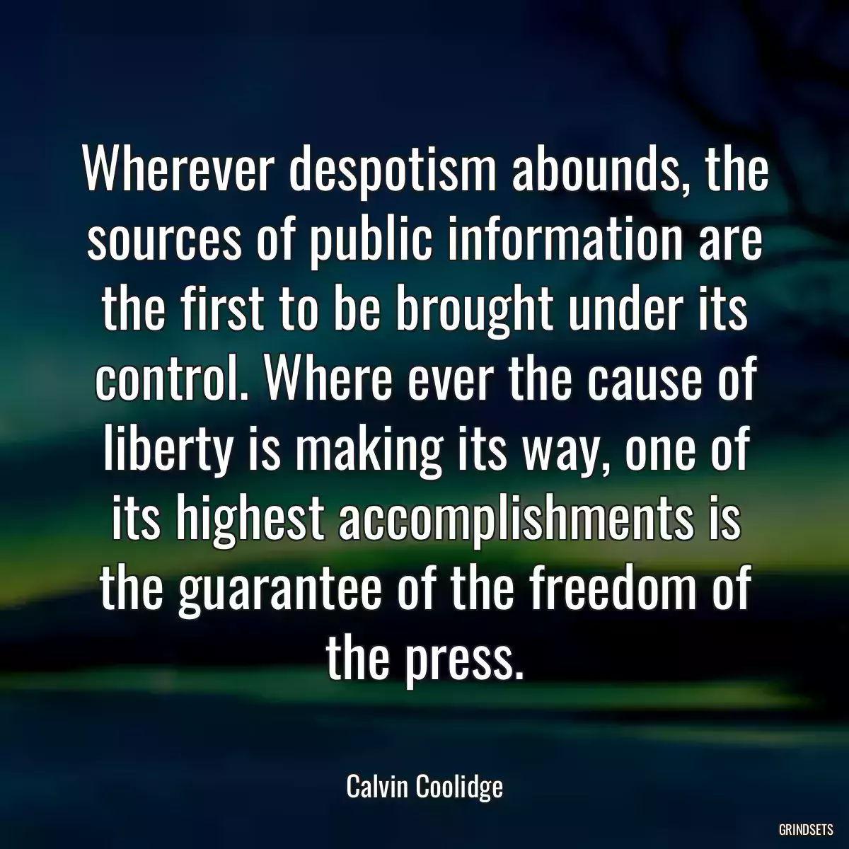 Wherever despotism abounds, the sources of public information are the first to be brought under its control. Where ever the cause of liberty is making its way, one of its highest accomplishments is the guarantee of the freedom of the press.