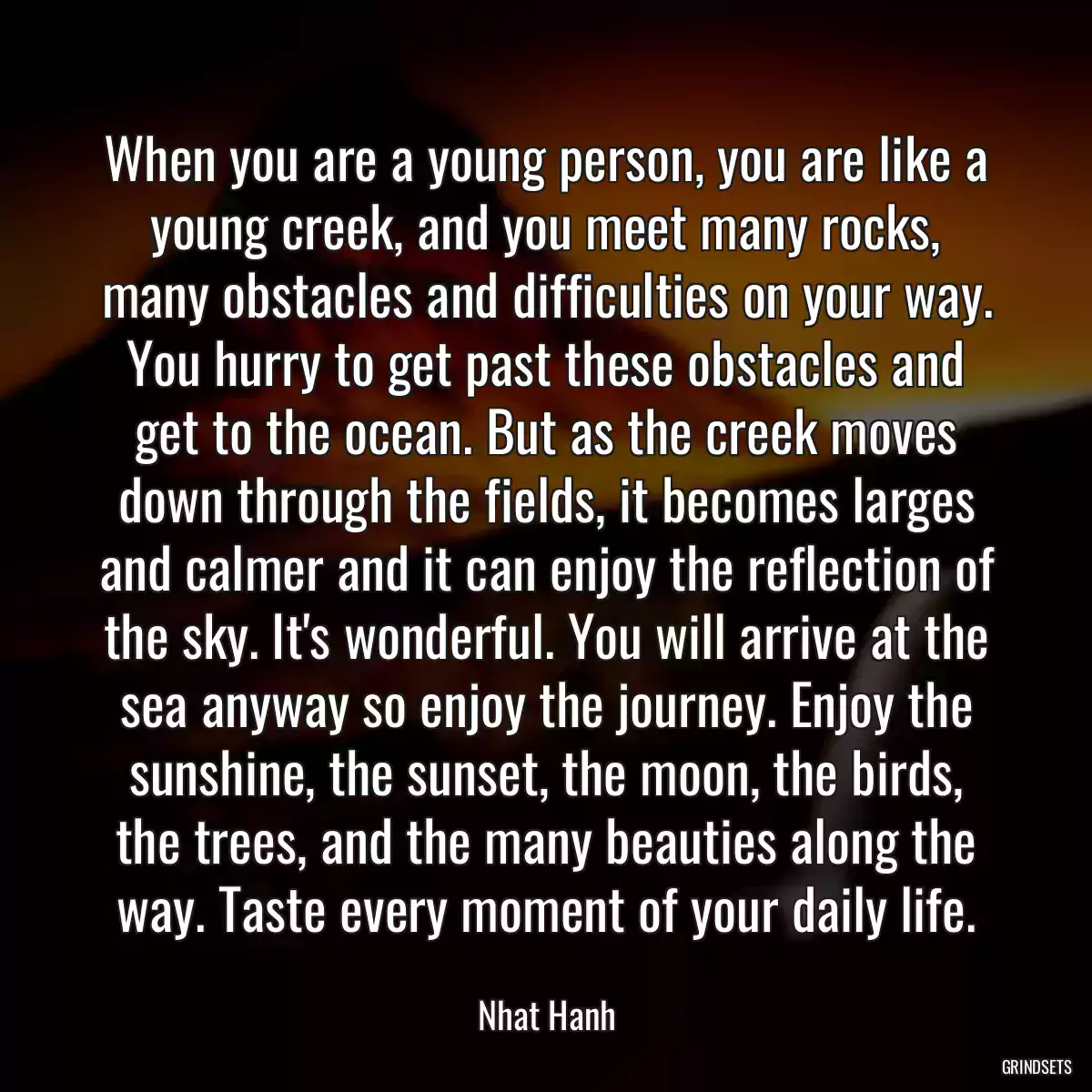 When you are a young person, you are like a young creek, and you meet many rocks, many obstacles and difficulties on your way. You hurry to get past these obstacles and get to the ocean. But as the creek moves down through the fields, it becomes larges and calmer and it can enjoy the reflection of the sky. It\'s wonderful. You will arrive at the sea anyway so enjoy the journey. Enjoy the sunshine, the sunset, the moon, the birds, the trees, and the many beauties along the way. Taste every moment of your daily life.