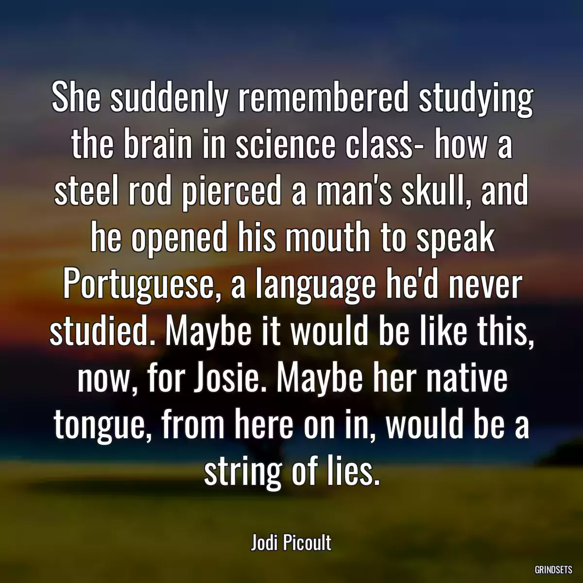 She suddenly remembered studying the brain in science class- how a steel rod pierced a man\'s skull, and he opened his mouth to speak Portuguese, a language he\'d never studied. Maybe it would be like this, now, for Josie. Maybe her native tongue, from here on in, would be a string of lies.