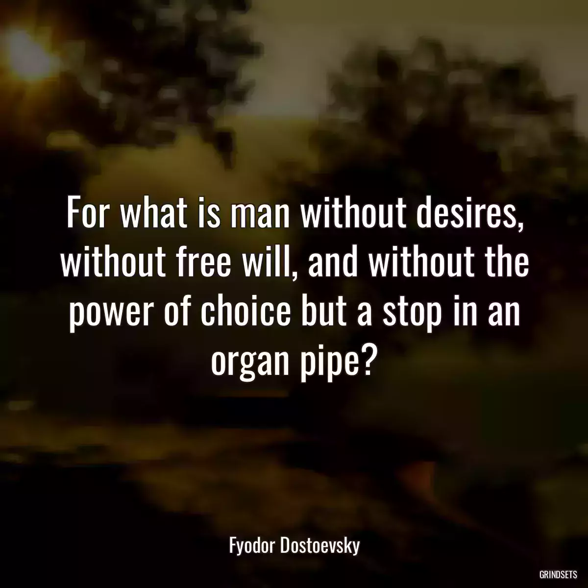 For what is man without desires, without free will, and without the power of choice but a stop in an organ pipe?