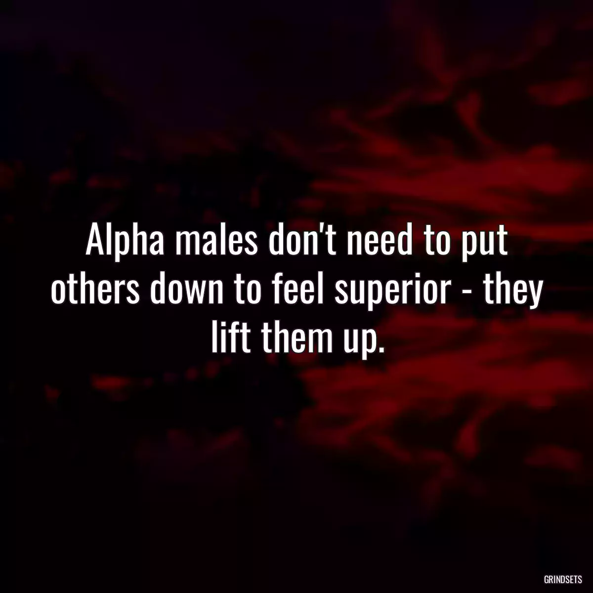 Alpha males don\'t need to put others down to feel superior - they lift them up.