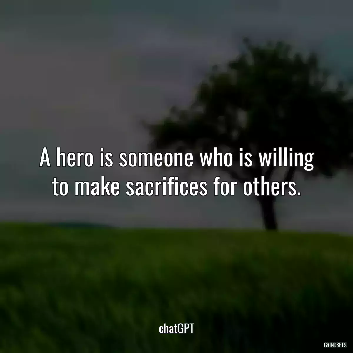 A hero is someone who is willing to make sacrifices for others.