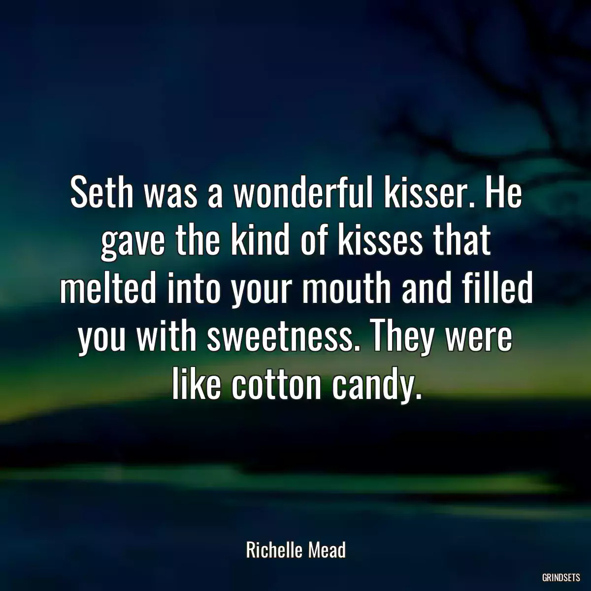 Seth was a wonderful kisser. He gave the kind of kisses that melted into your mouth and filled you with sweetness. They were like cotton candy.