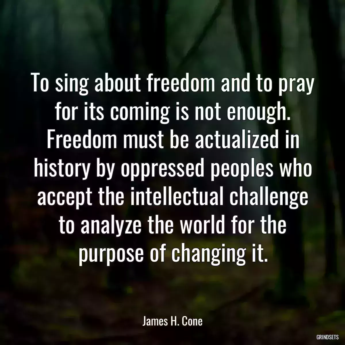 To sing about freedom and to pray for its coming is not enough. Freedom must be actualized in history by oppressed peoples who accept the intellectual challenge to analyze the world for the purpose of changing it.