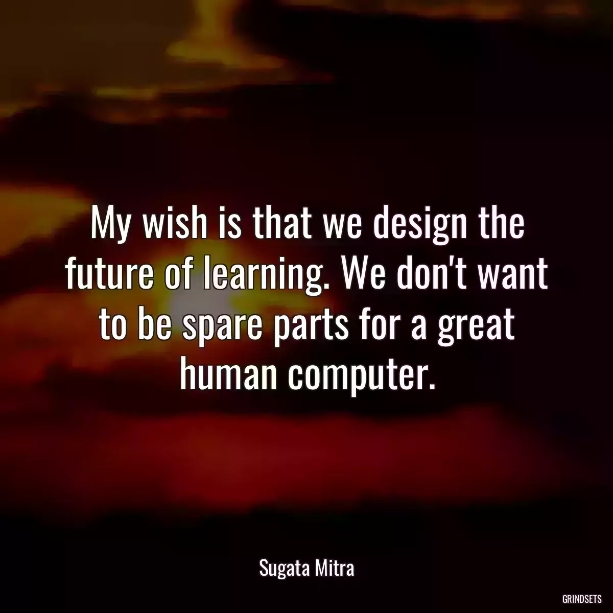 My wish is that we design the future of learning. We don\'t want to be spare parts for a great human computer.