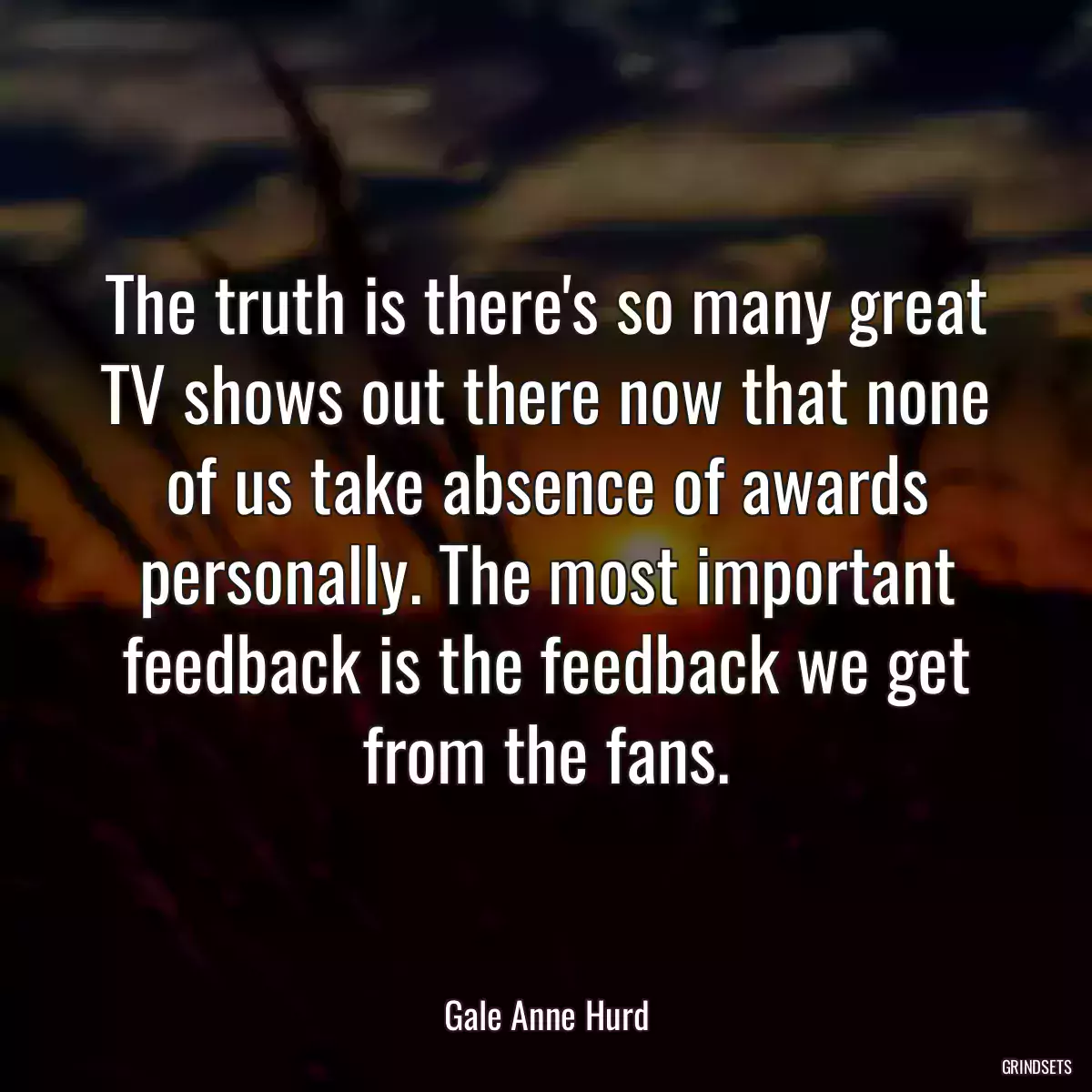 The truth is there\'s so many great TV shows out there now that none of us take absence of awards personally. The most important feedback is the feedback we get from the fans.