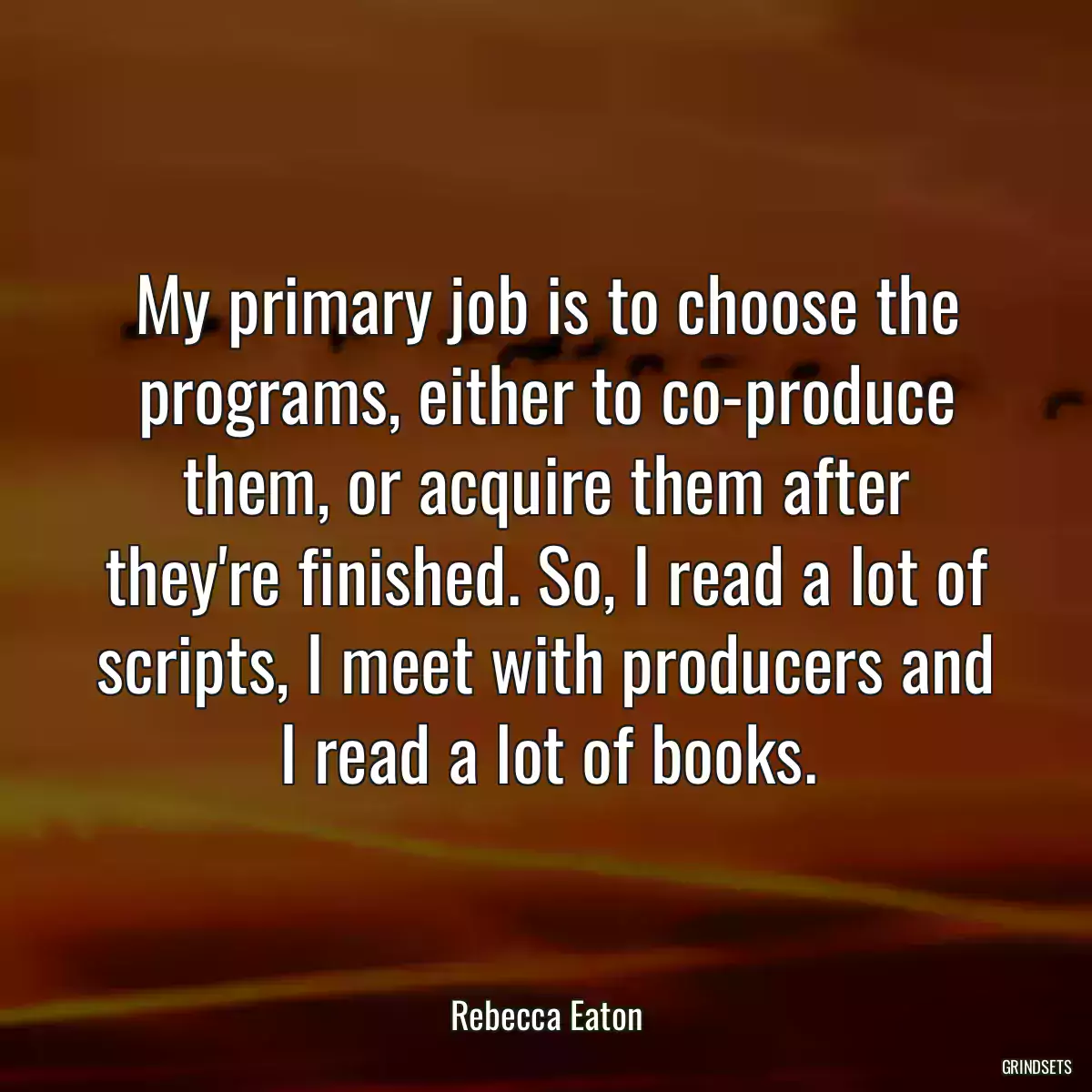 My primary job is to choose the programs, either to co-produce them, or acquire them after they\'re finished. So, I read a lot of scripts, I meet with producers and I read a lot of books.