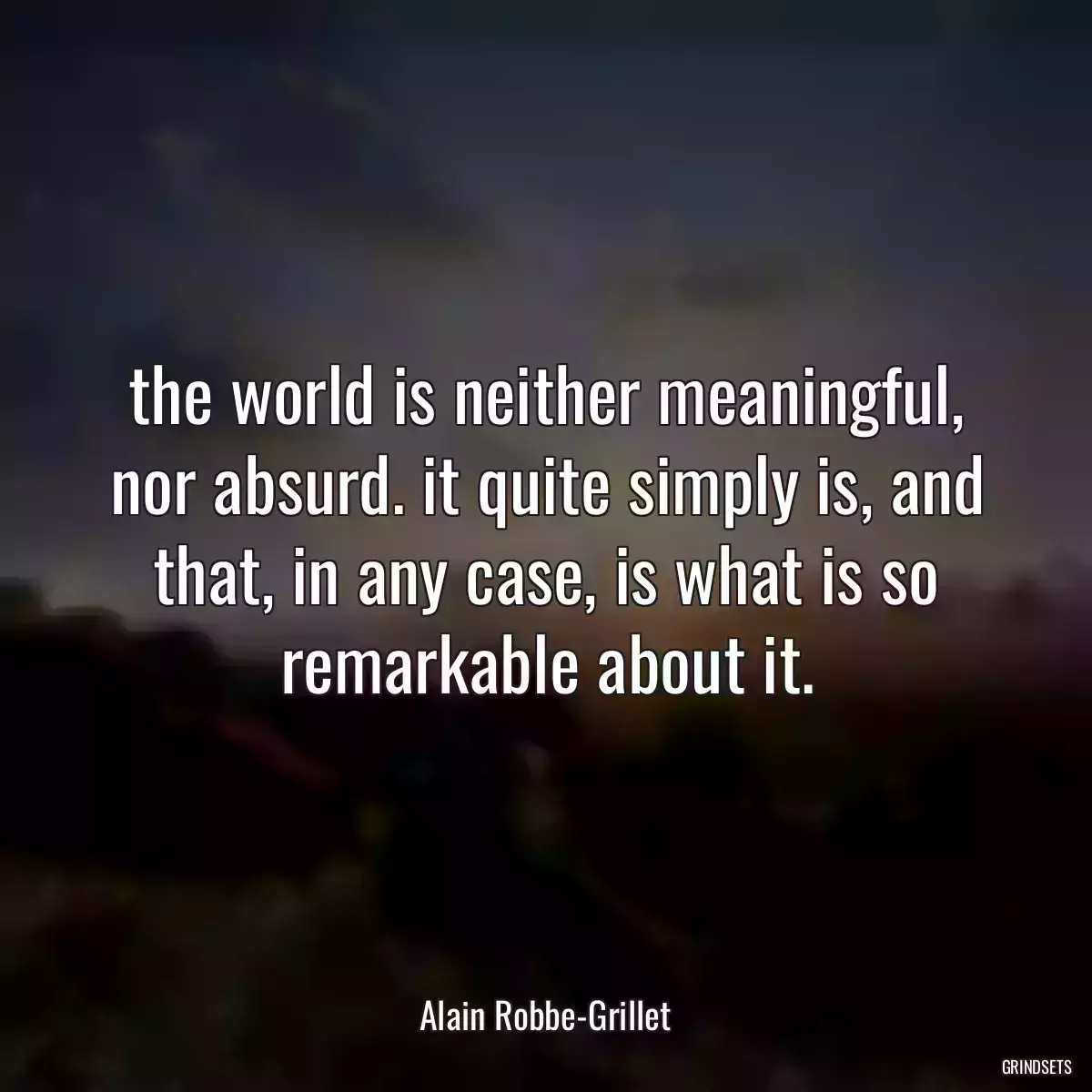 the world is neither meaningful, nor absurd. it quite simply is, and that, in any case, is what is so remarkable about it.