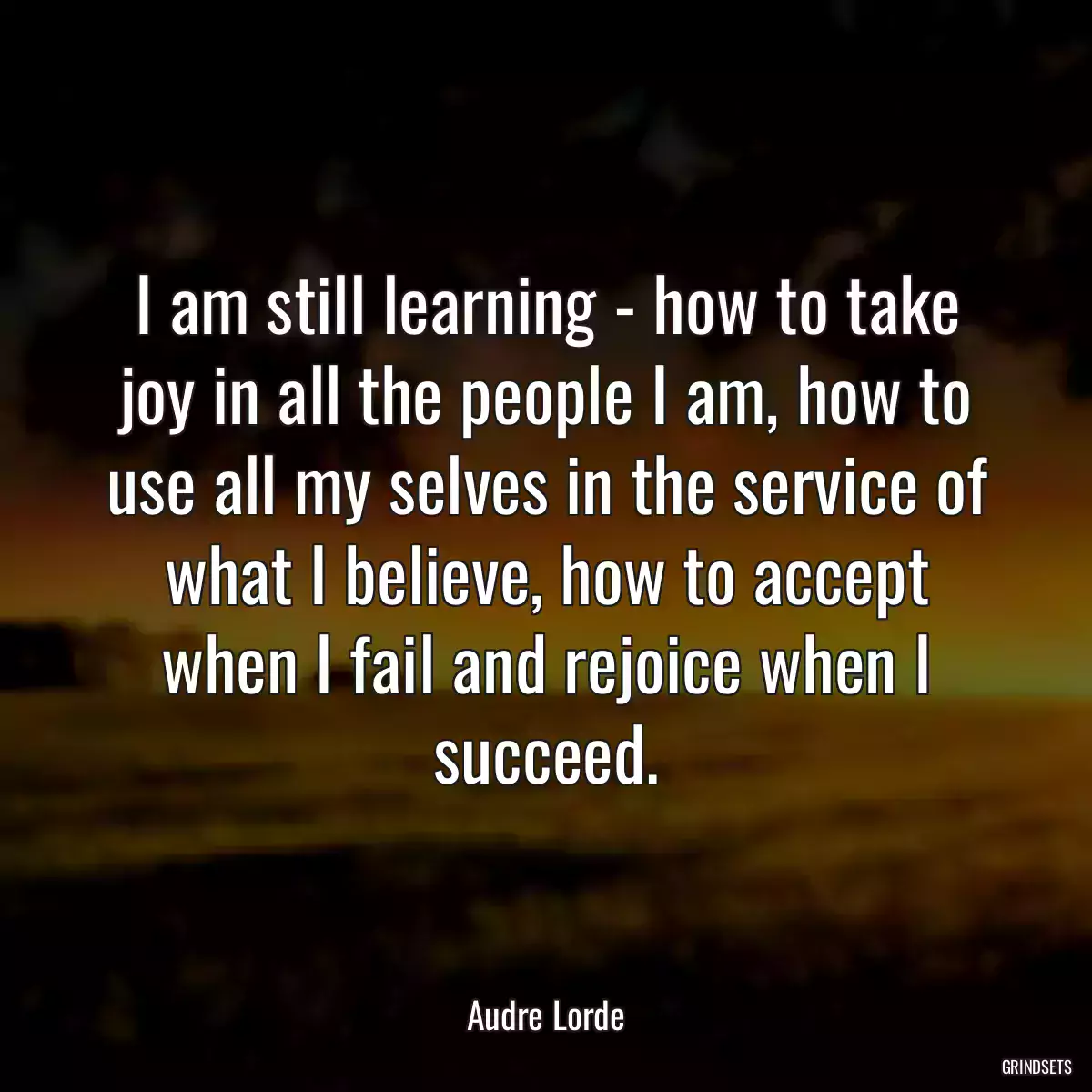 I am still learning - how to take joy in all the people I am, how to use all my selves in the service of what I believe, how to accept when I fail and rejoice when I succeed.