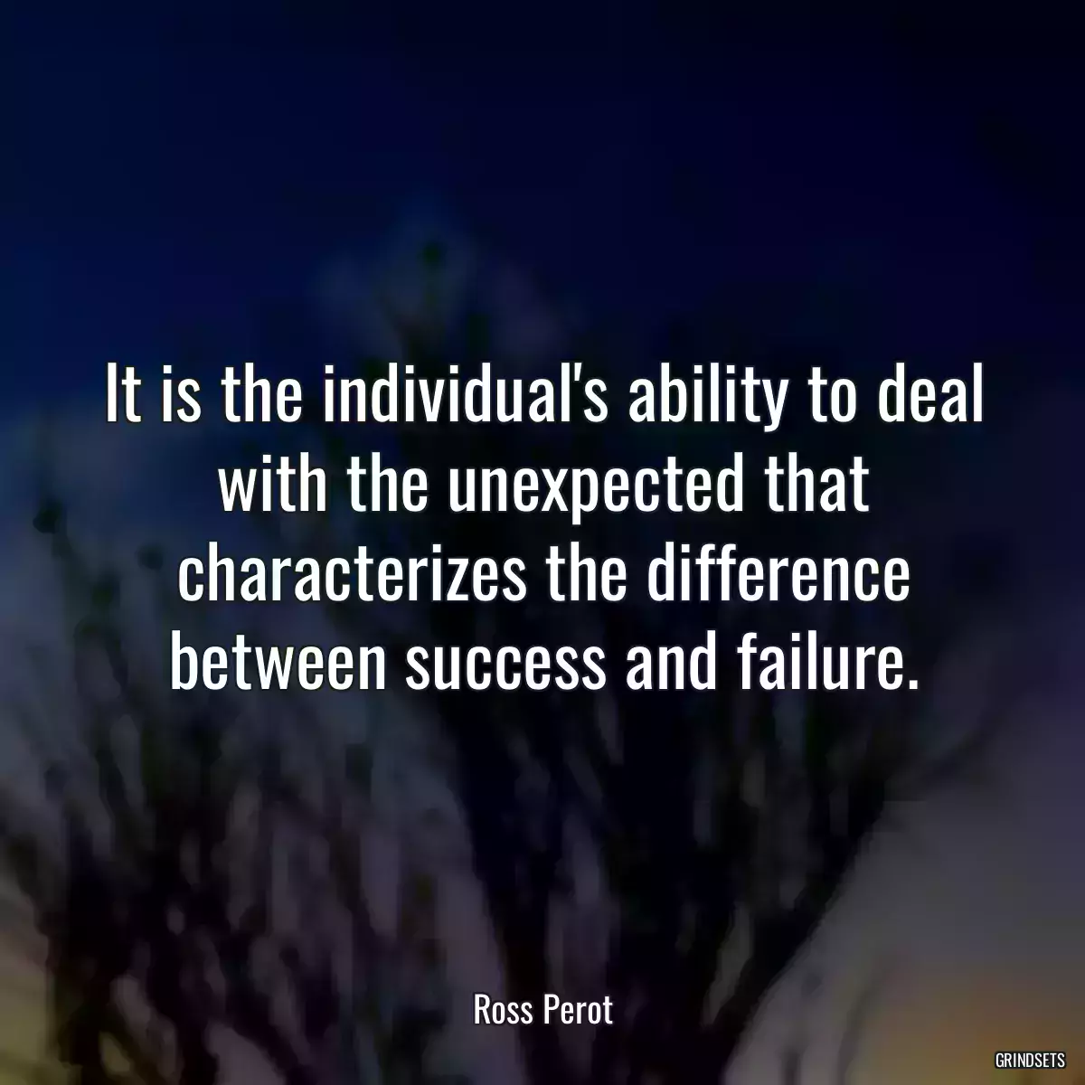 It is the individual\'s ability to deal with the unexpected that characterizes the difference between success and failure.