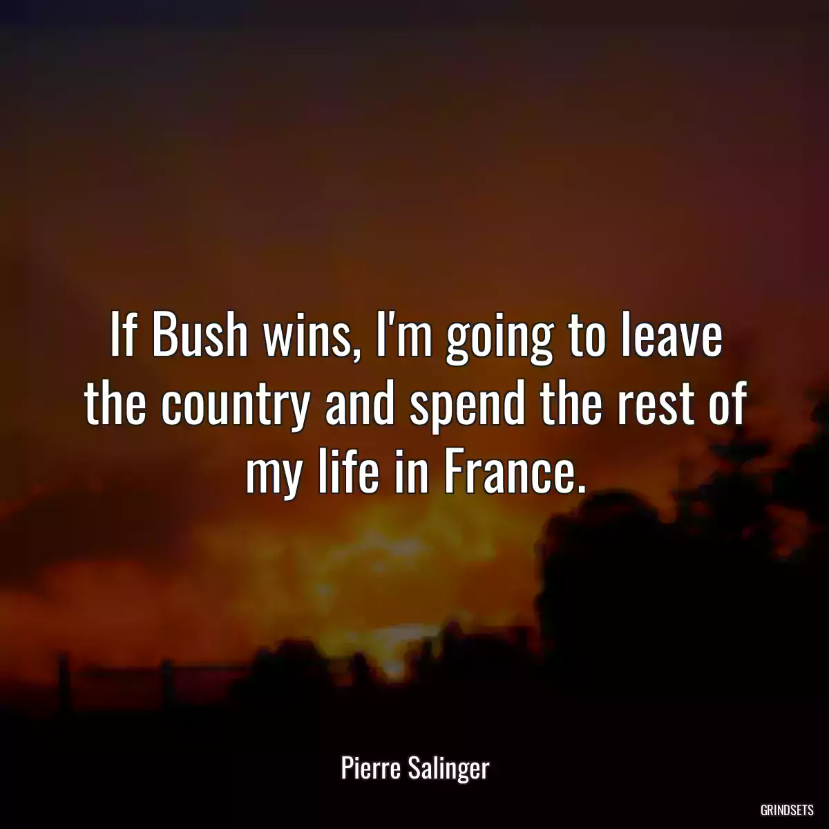 If Bush wins, I\'m going to leave the country and spend the rest of my life in France.