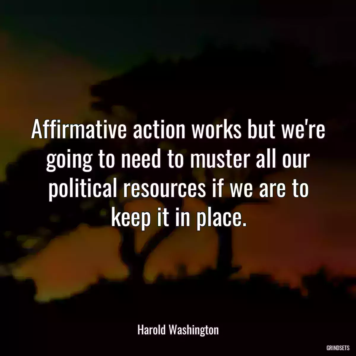 Affirmative action works but we\'re going to need to muster all our political resources if we are to keep it in place.