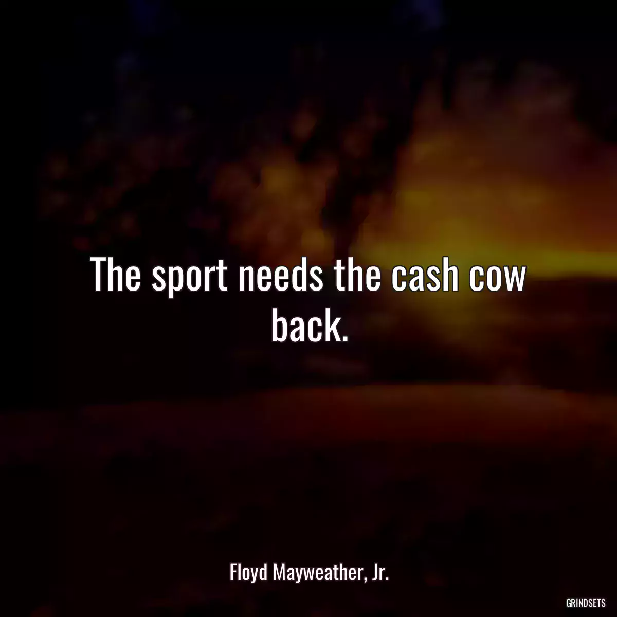 The sport needs the cash cow back.