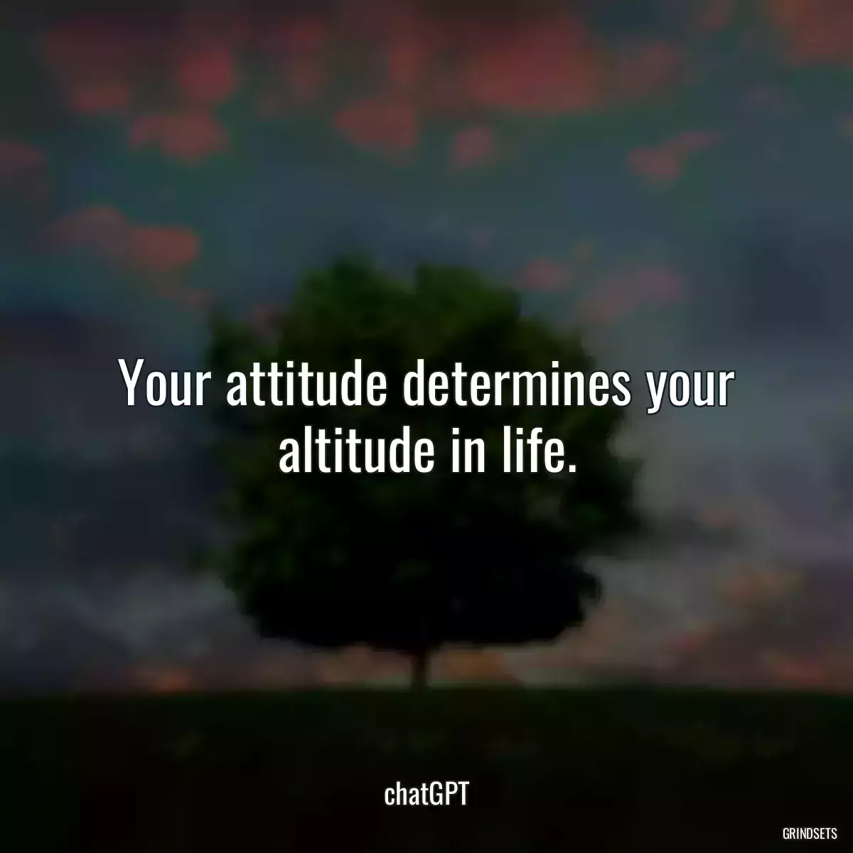 Your attitude determines your altitude in life.