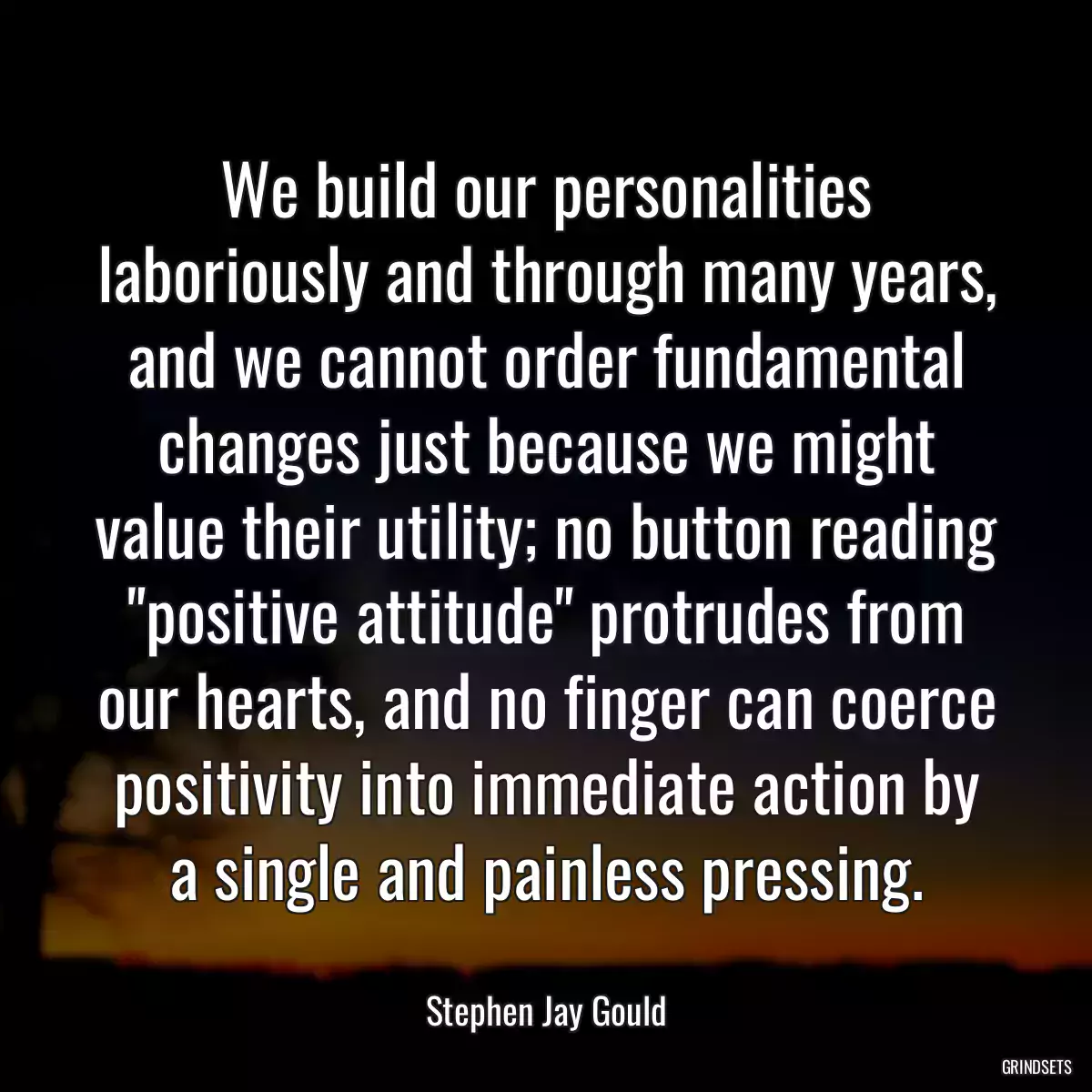 We build our personalities laboriously and through many years, and we cannot order fundamental changes just because we might value their utility; no button reading \