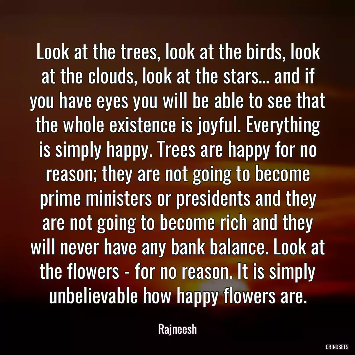 Look at the trees, look at the birds, look at the clouds, look at the stars… and if you have eyes you will be able to see that the whole existence is joyful. Everything is simply happy. Trees are happy for no reason; they are not going to become prime ministers or presidents and they are not going to become rich and they will never have any bank balance. Look at the flowers - for no reason. It is simply unbelievable how happy flowers are.