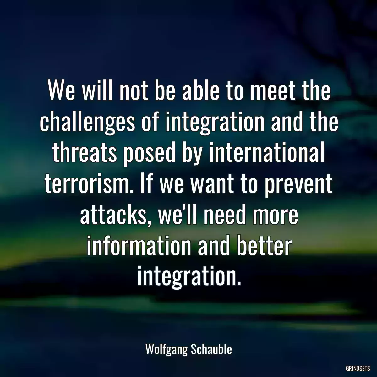 We will not be able to meet the challenges of integration and the threats posed by international terrorism. If we want to prevent attacks, we\'ll need more information and better integration.