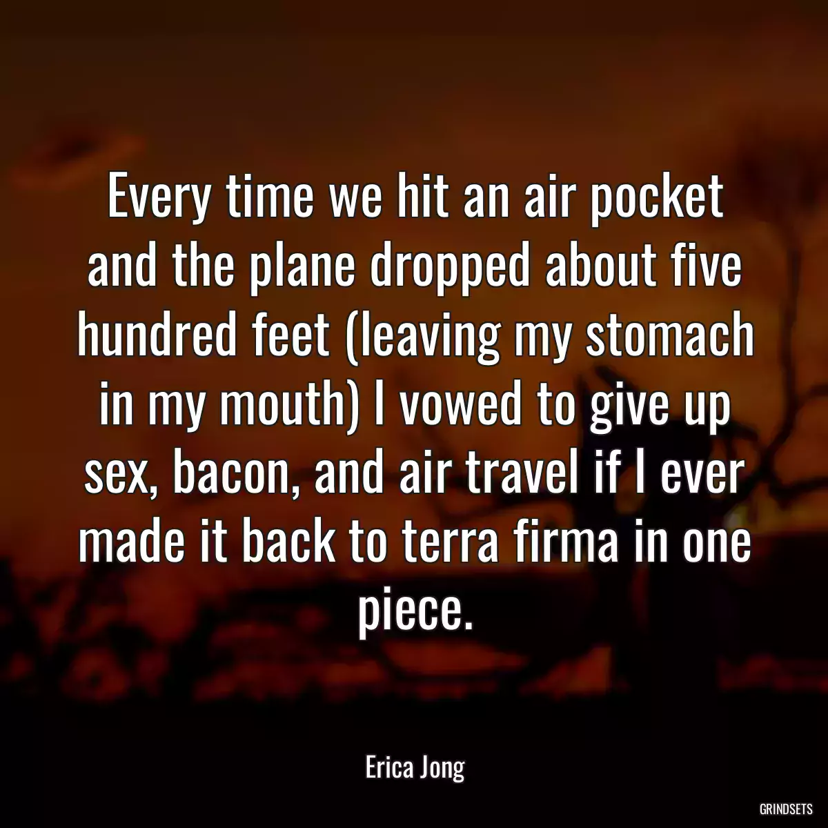 Every time we hit an air pocket and the plane dropped about five hundred feet (leaving my stomach in my mouth) I vowed to give up sex, bacon, and air travel if I ever made it back to terra firma in one piece.