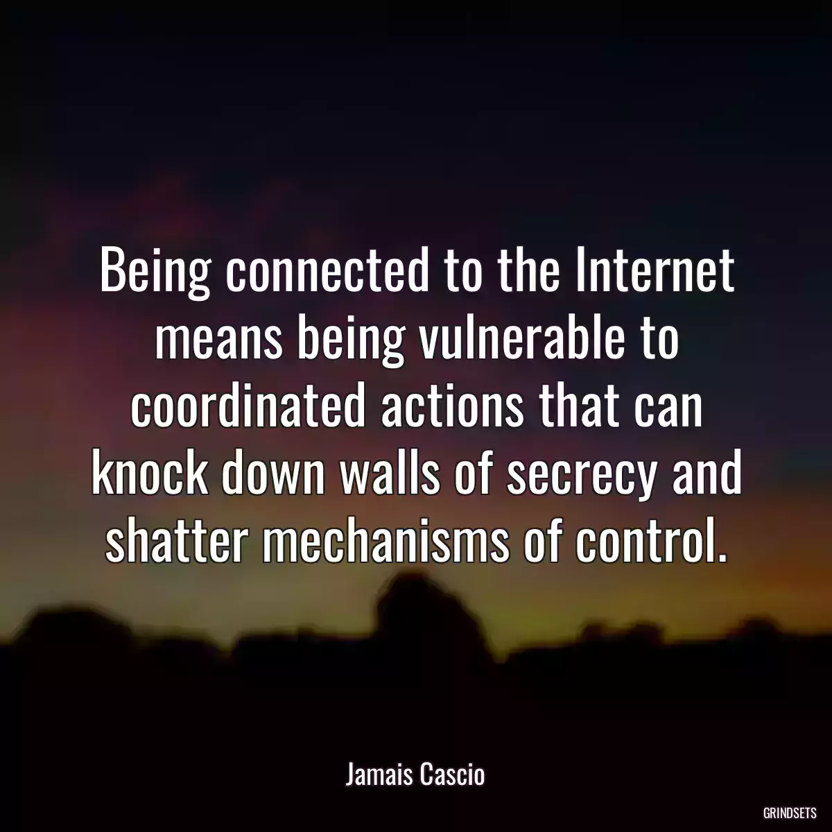 Being connected to the Internet means being vulnerable to coordinated actions that can knock down walls of secrecy and shatter mechanisms of control.