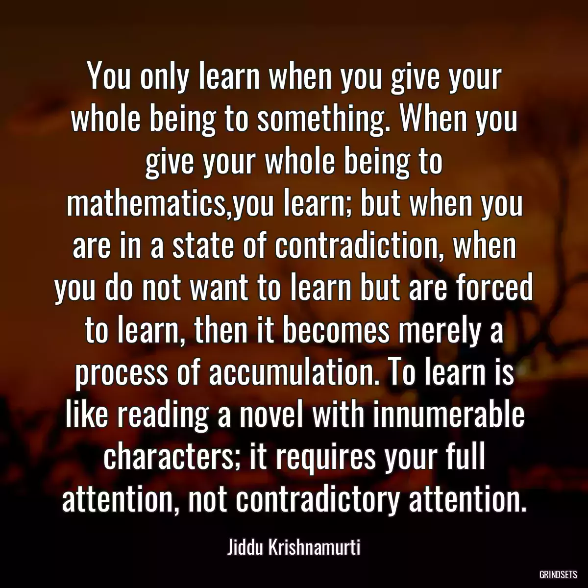 You only learn when you give your whole being to something. When you give your whole being to mathematics,you learn; but when you are in a state of contradiction, when you do not want to learn but are forced to learn, then it becomes merely a process of accumulation. To learn is like reading a novel with innumerable characters; it requires your full attention, not contradictory attention.