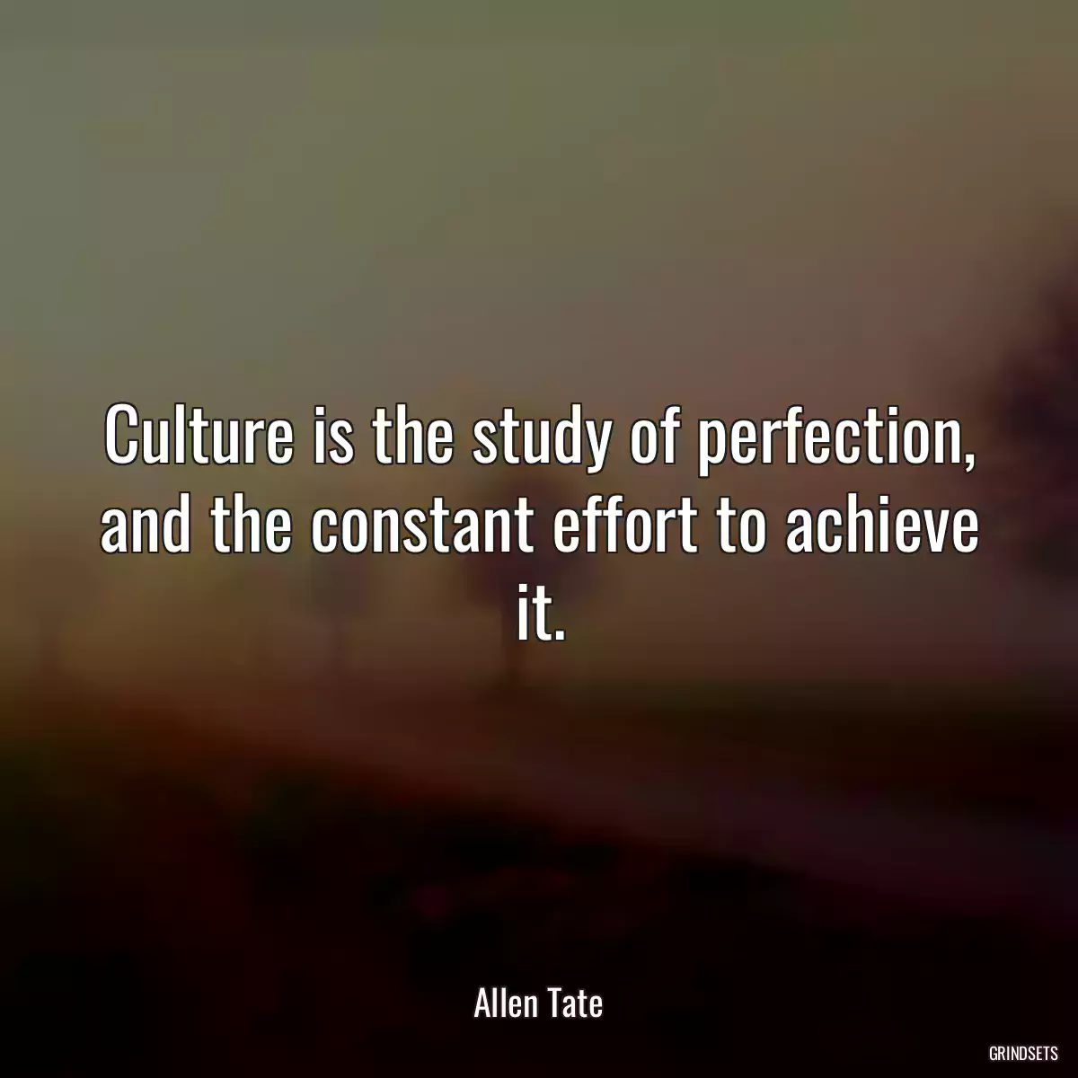 Culture is the study of perfection, and the constant effort to achieve it.