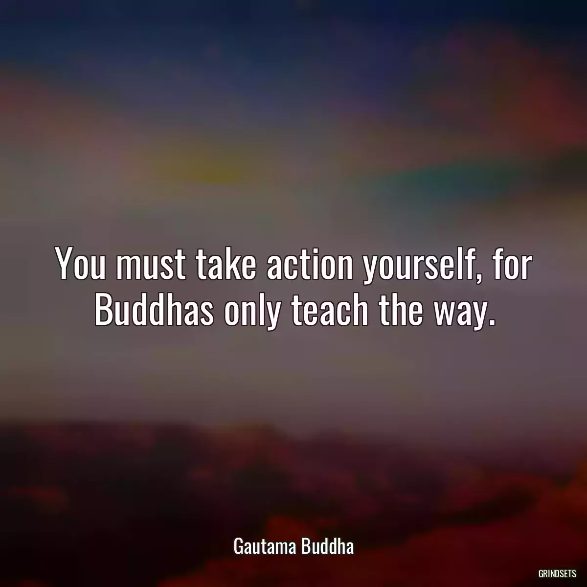 You must take action yourself, for Buddhas only teach the way.