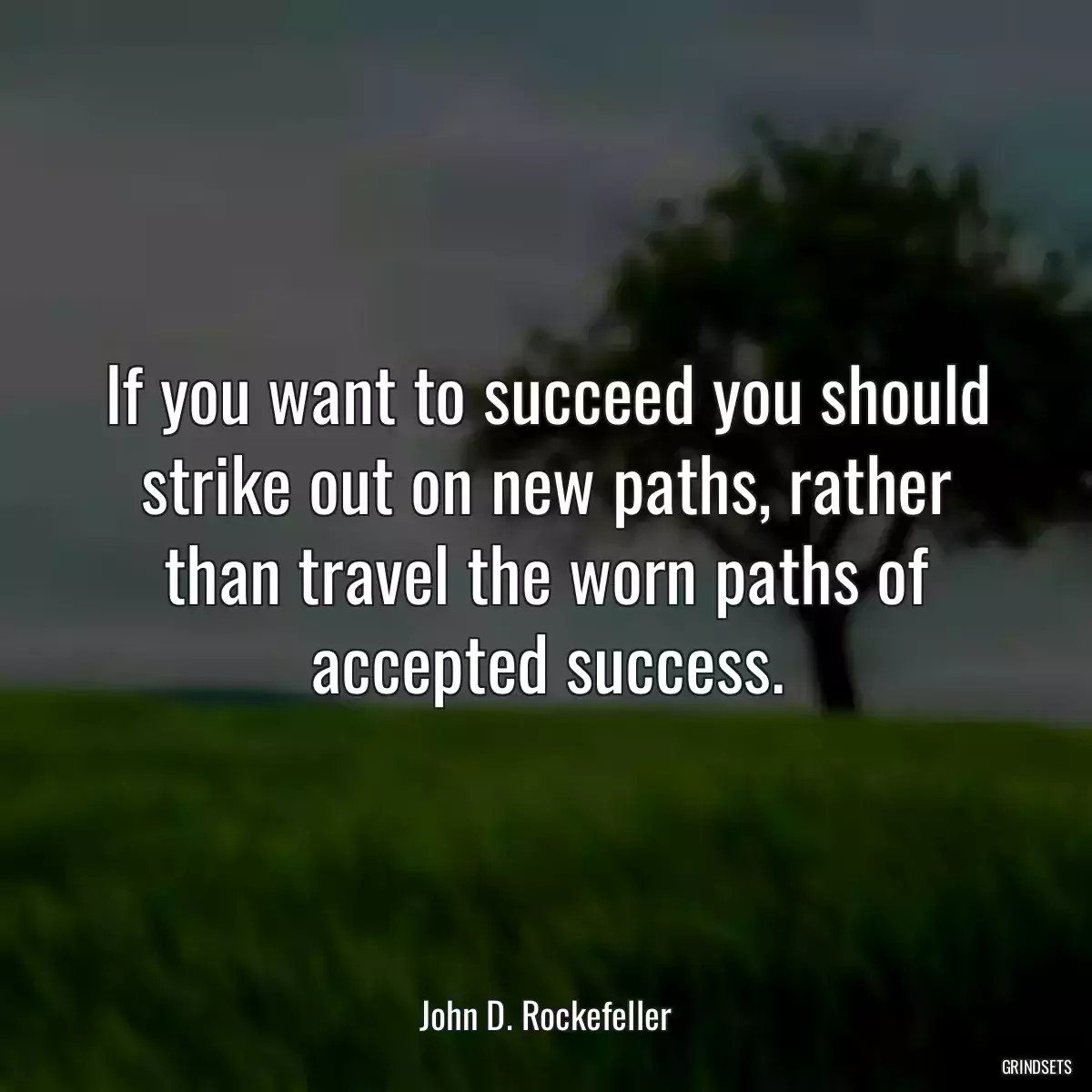 If you want to succeed you should strike out on new paths, rather than travel the worn paths of accepted success.