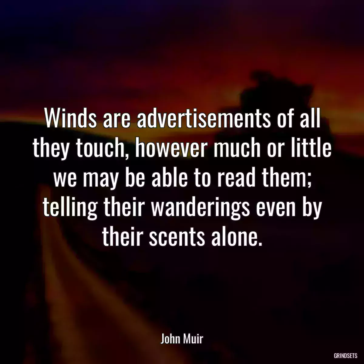 Winds are advertisements of all they touch, however much or little we may be able to read them; telling their wanderings even by their scents alone.