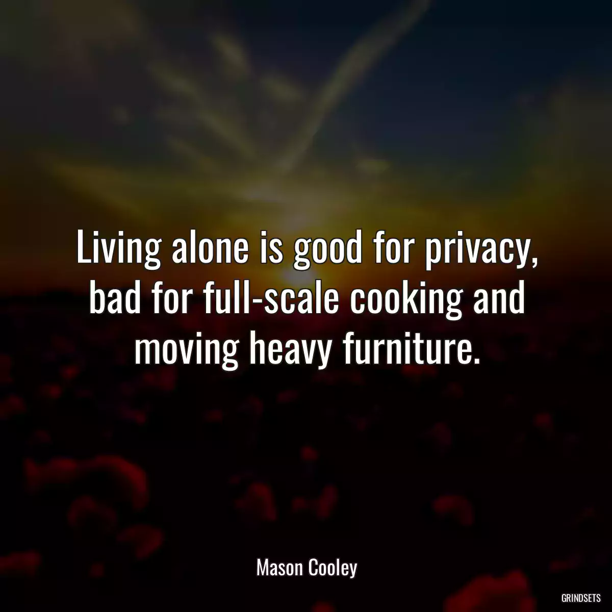 Living alone is good for privacy, bad for full-scale cooking and moving heavy furniture.