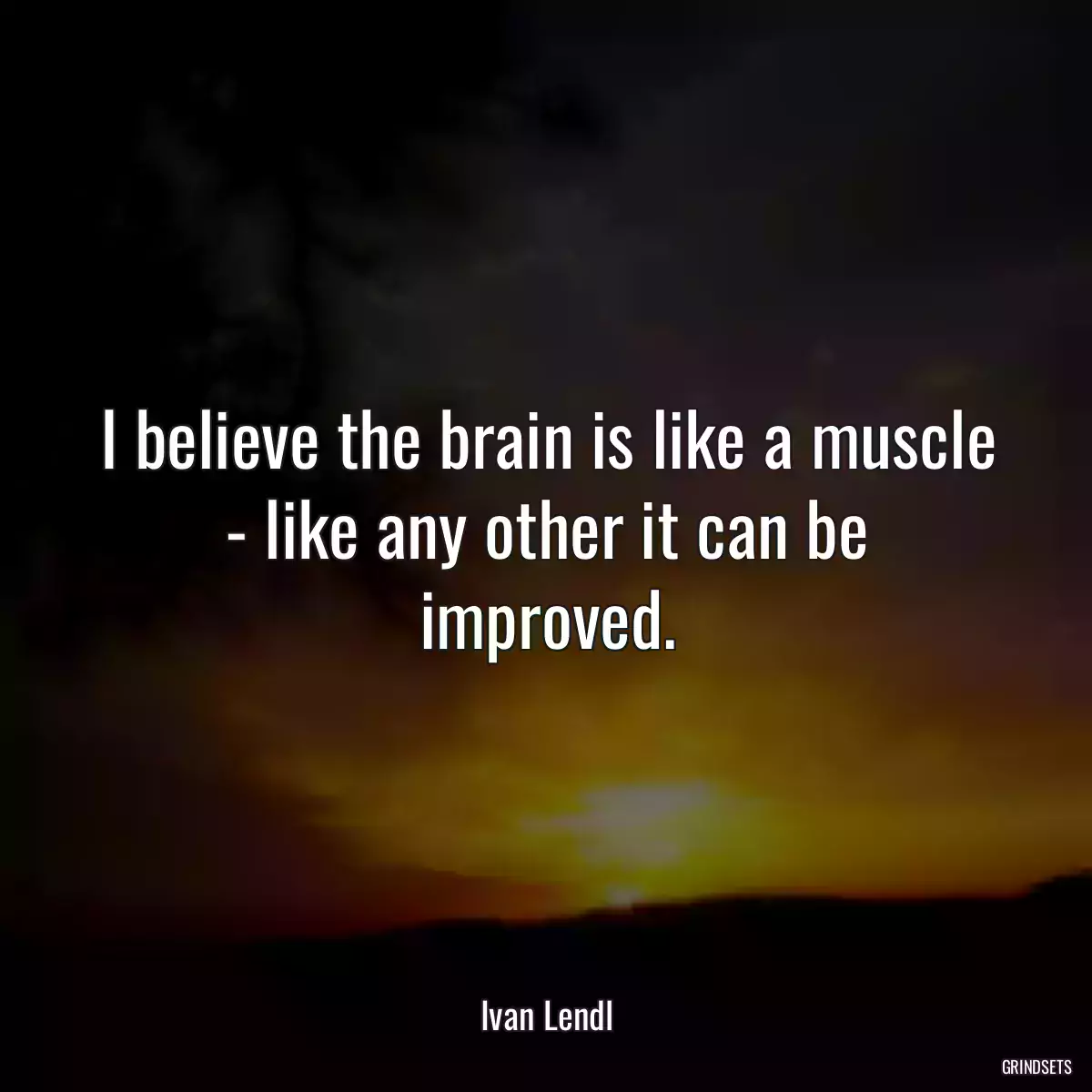 I believe the brain is like a muscle - like any other it can be improved.