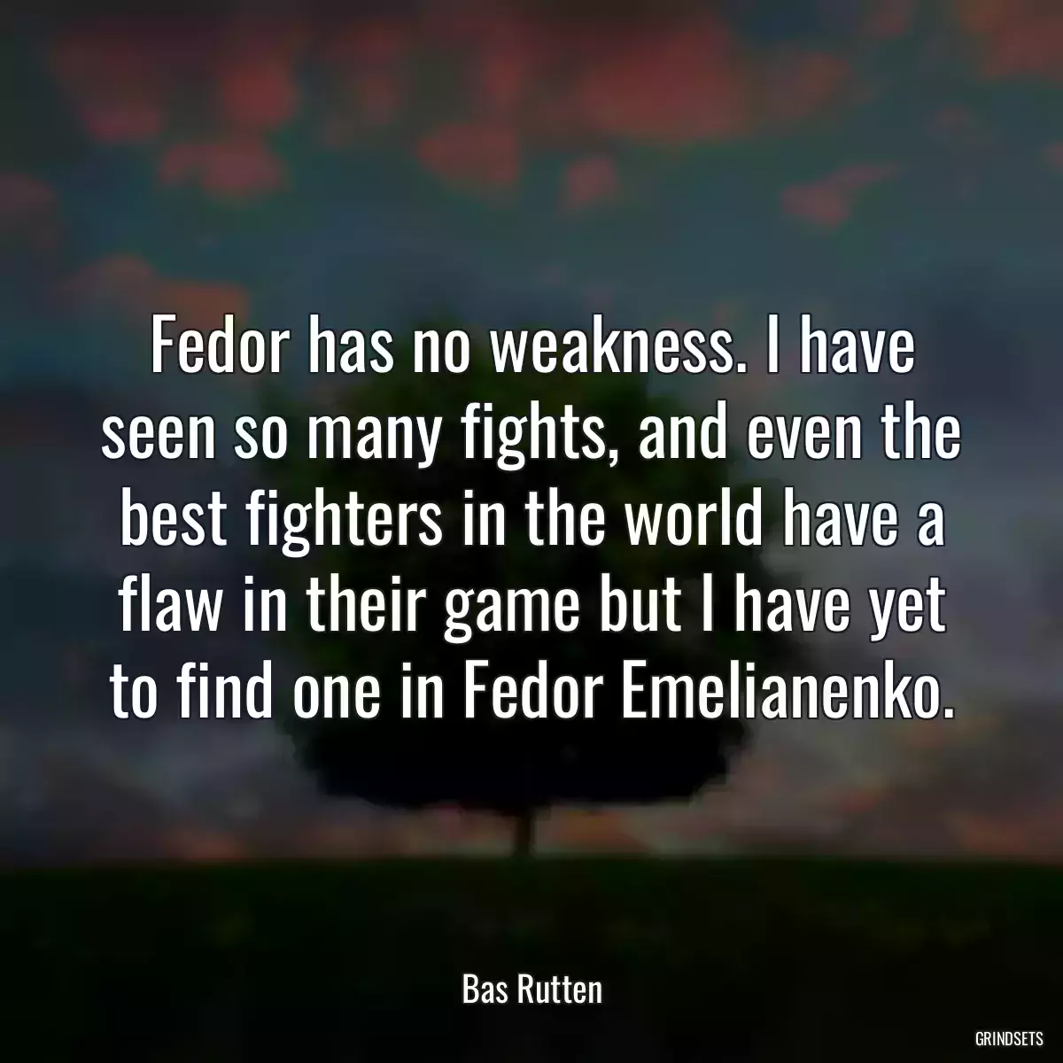 Fedor has no weakness. I have seen so many fights, and even the best fighters in the world have a flaw in their game but I have yet to find one in Fedor Emelianenko.