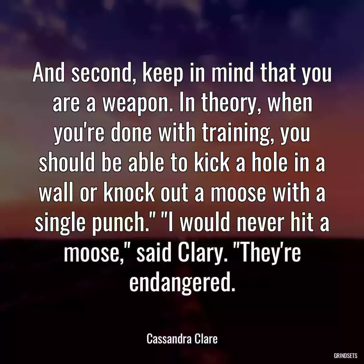 And second, keep in mind that you are a weapon. In theory, when you\'re done with training, you should be able to kick a hole in a wall or knock out a moose with a single punch.\