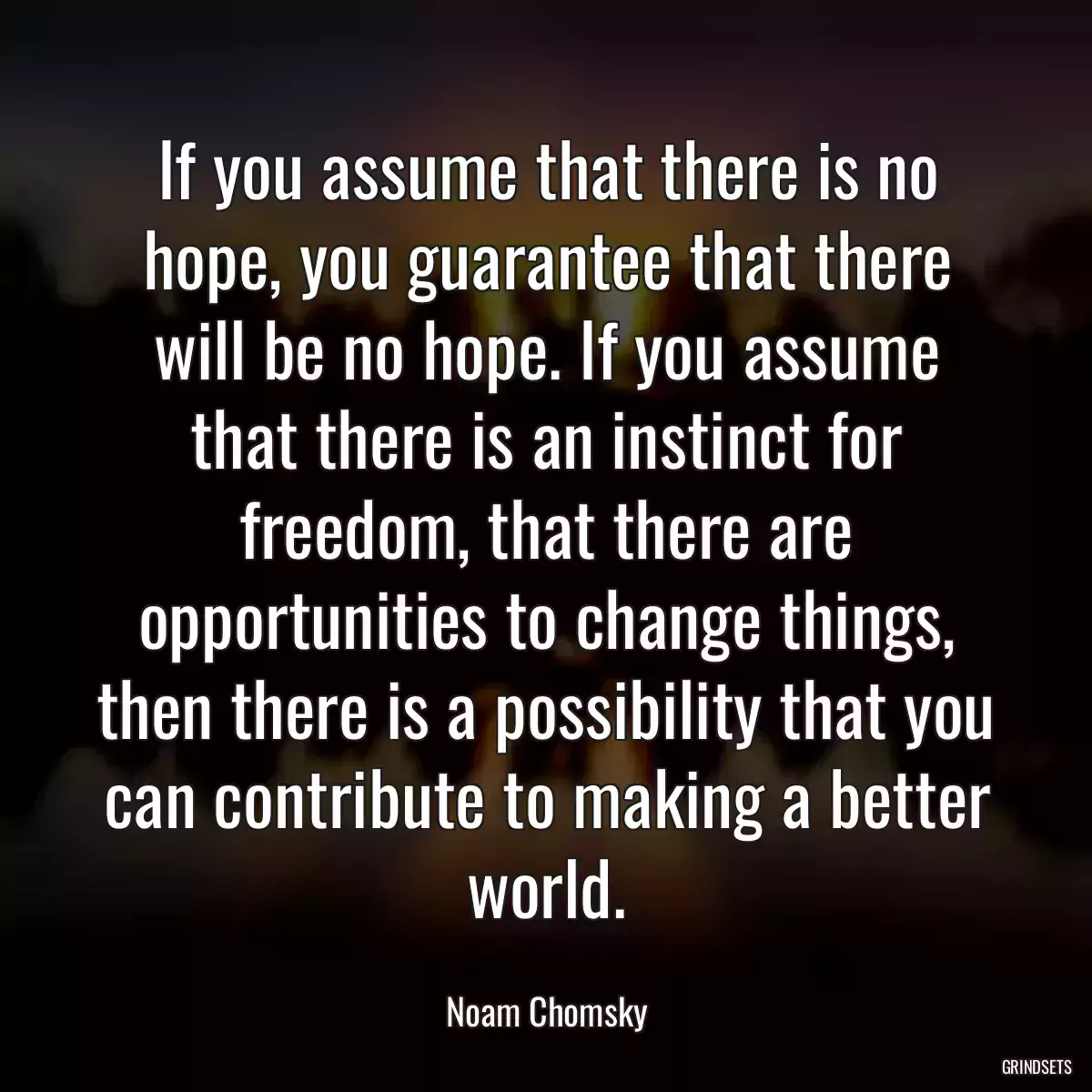 If you assume that there is no hope, you guarantee that there will be no hope. If you assume that there is an instinct for freedom, that there are opportunities to change things, then there is a possibility that you can contribute to making a better world.