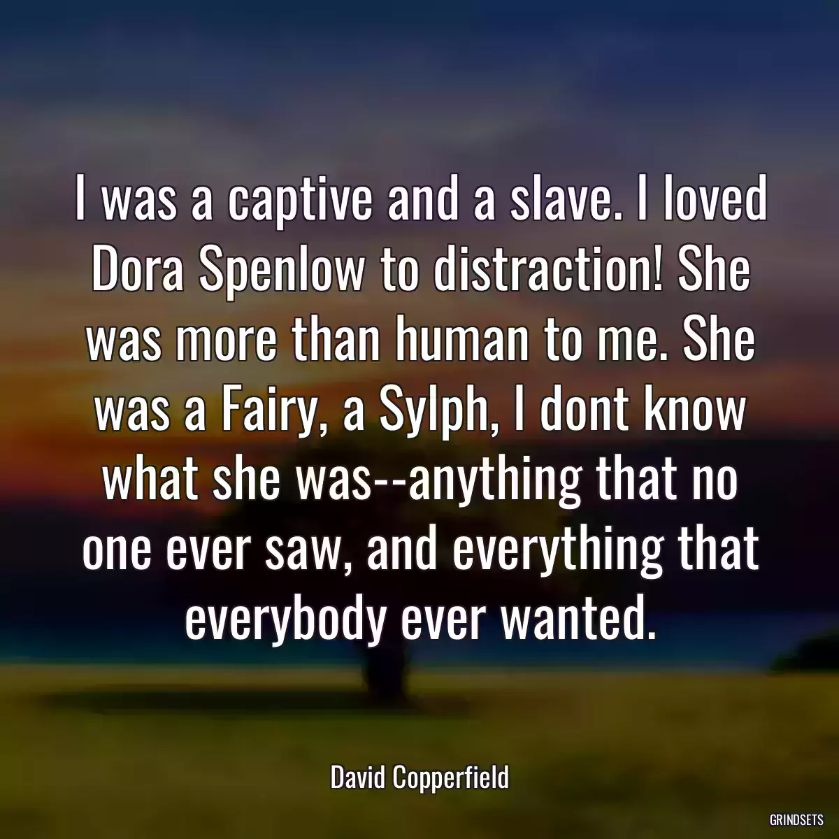 I was a captive and a slave. I loved Dora Spenlow to distraction! She was more than human to me. She was a Fairy, a Sylph, I dont know what she was--anything that no one ever saw, and everything that everybody ever wanted.