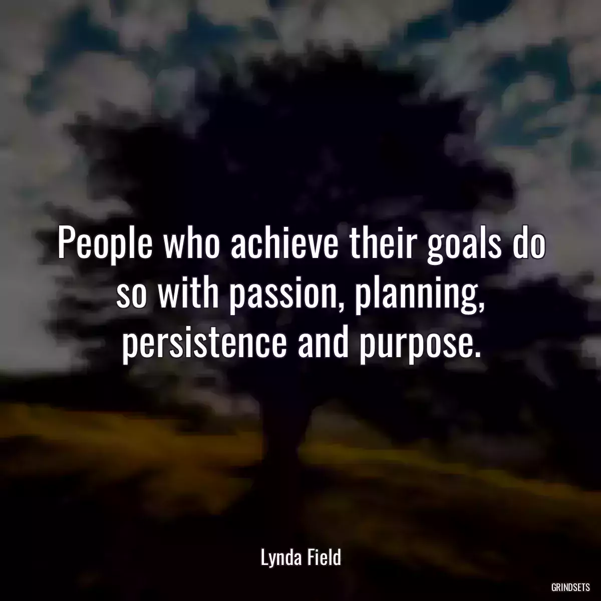 People who achieve their goals do so with passion, planning, persistence and purpose.