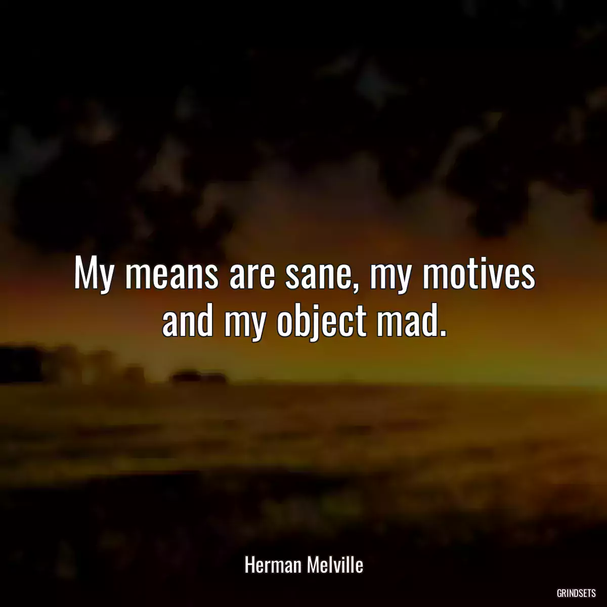 My means are sane, my motives and my object mad.