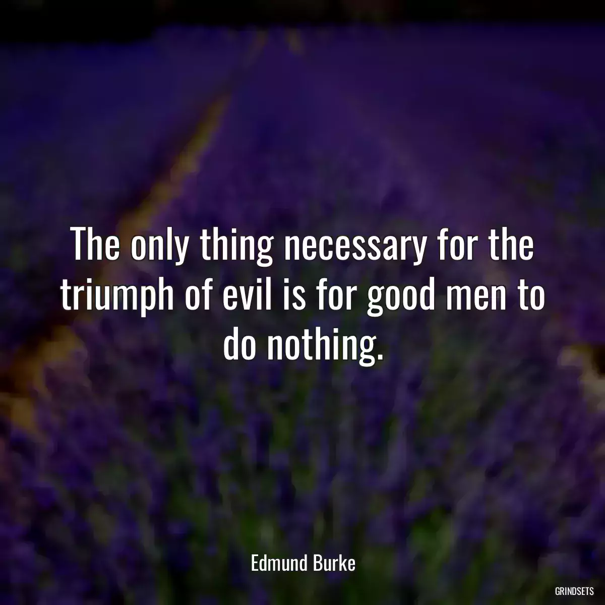 The only thing necessary for the triumph of evil is for good men to do nothing.