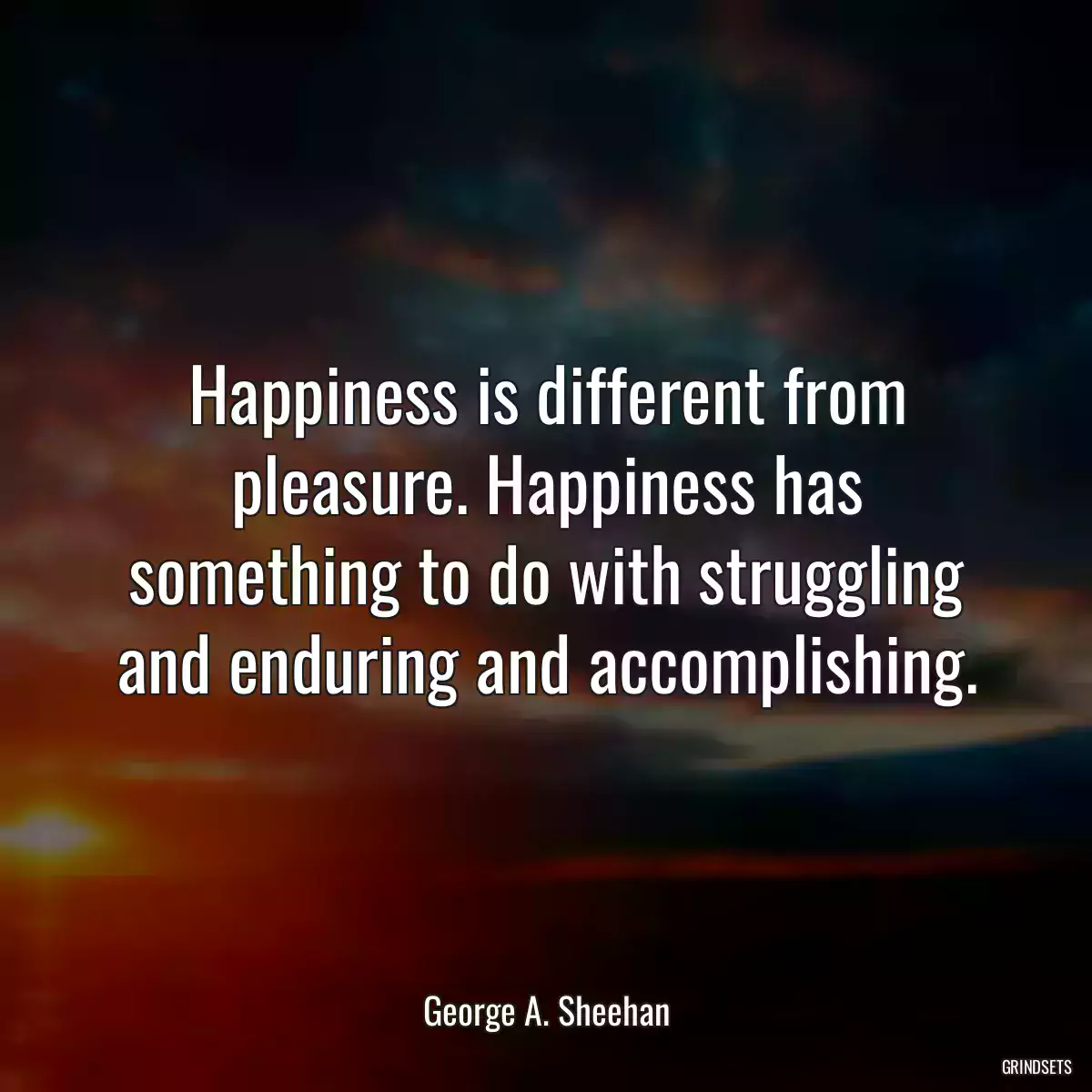 Happiness is different from pleasure. Happiness has something to do with struggling and enduring and accomplishing.