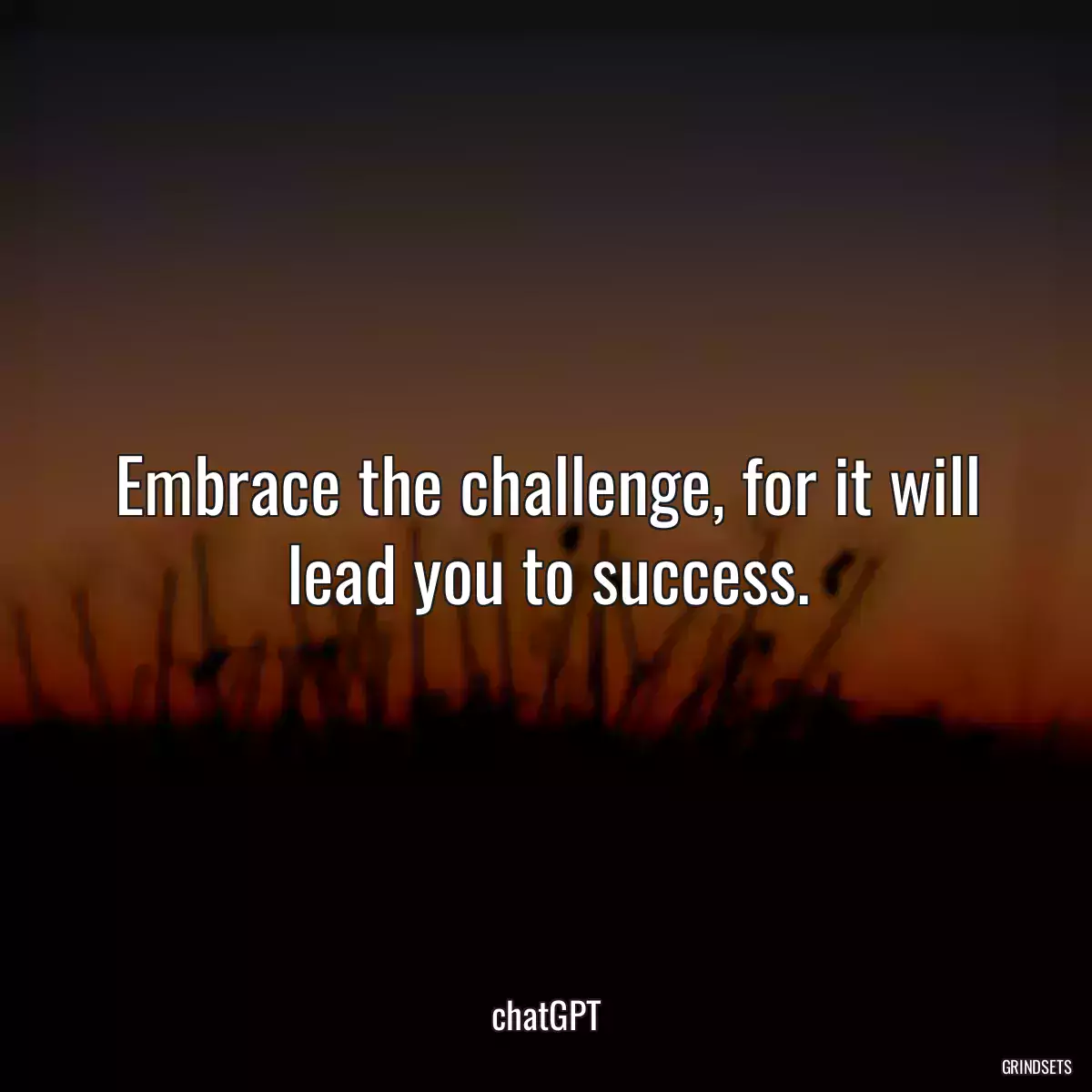 Embrace the challenge, for it will lead you to success.