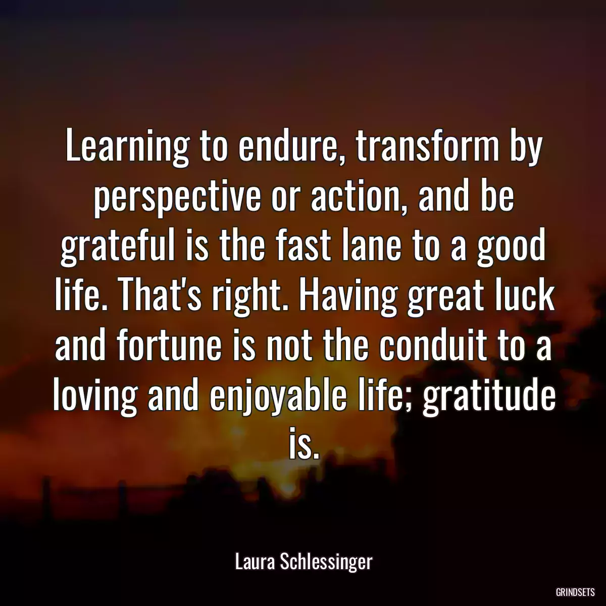 Learning to endure, transform by perspective or action, and be grateful is the fast lane to a good life. That\'s right. Having great luck and fortune is not the conduit to a loving and enjoyable life; gratitude is.