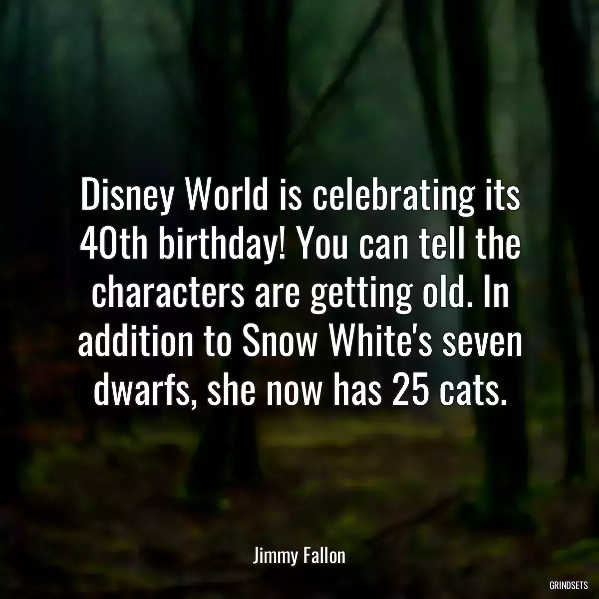 Disney World is celebrating its 40th birthday! You can tell the characters are getting old. In addition to Snow White\'s seven dwarfs, she now has 25 cats.