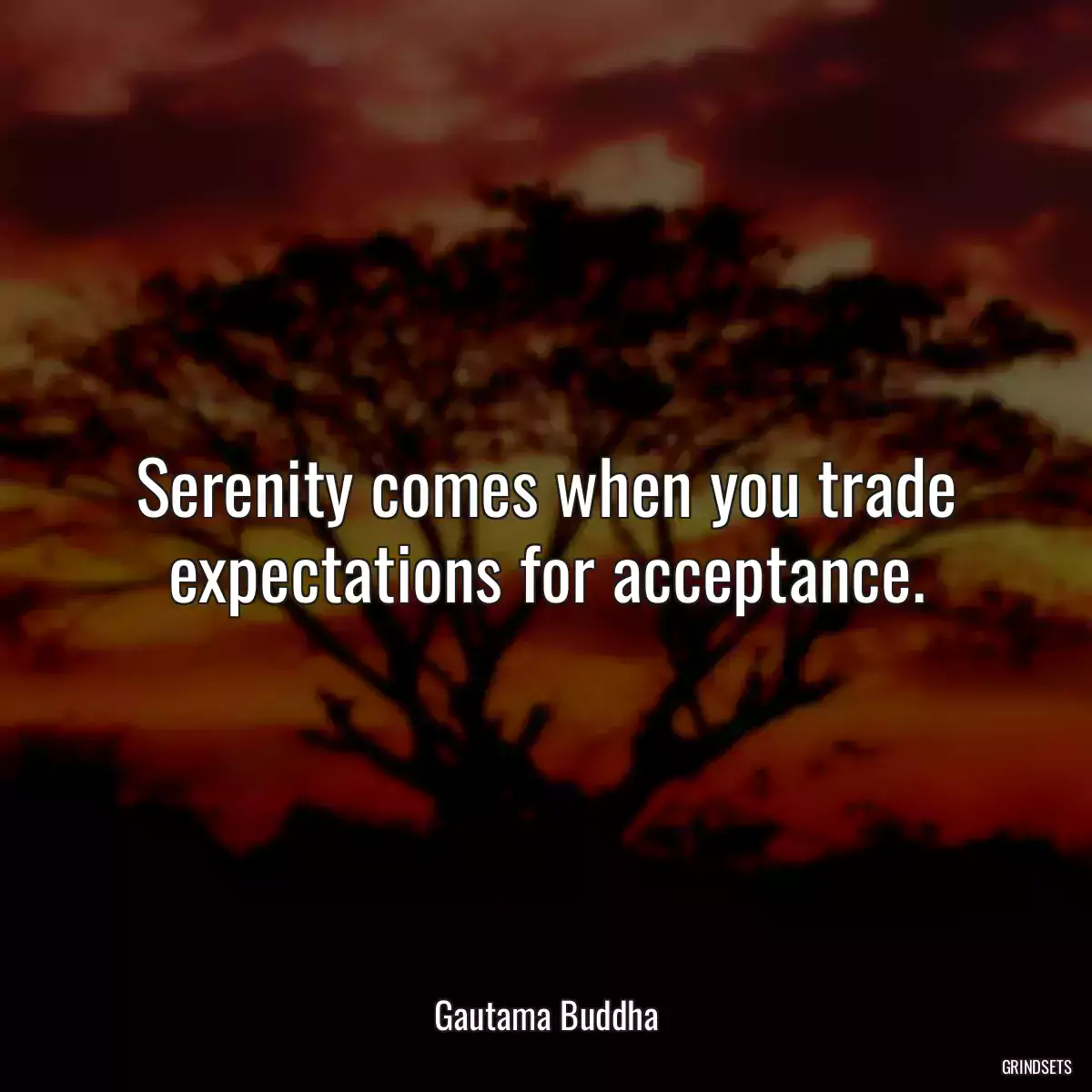 Serenity comes when you trade expectations for acceptance.